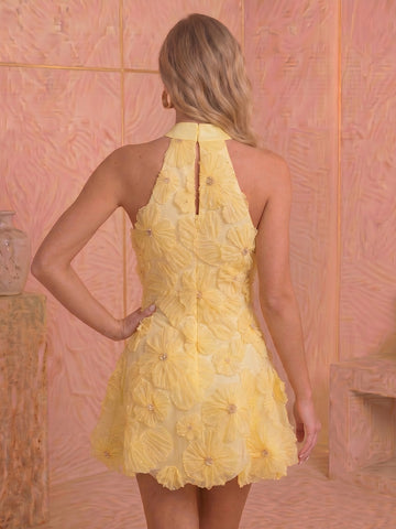 A Line Tulle High Neck Jacquard Sleeveless Short Homecoming Dresses