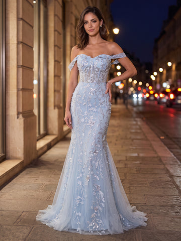 Tulle Mermaid Off the Shoulder Sleeveless Long Evening Dresses